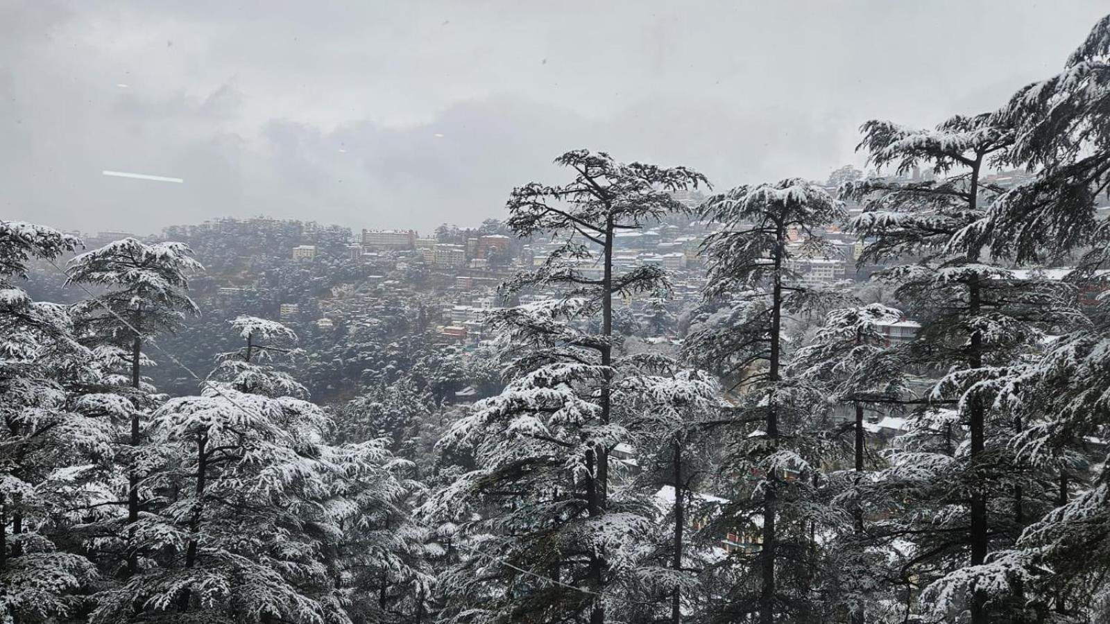 Mountain Zest- Simla Royale Near Mall Road Free Pickup From Railway Station Simla Exteriér fotografie